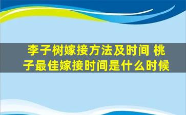 李子树嫁接方法及时间 桃子最佳嫁接时间是什么时候